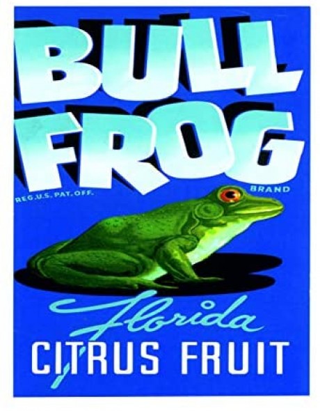 Bull frog Florida citrus fruits