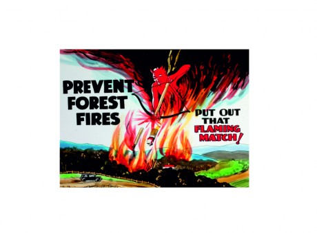 Prevent forest fires put out that flaming match