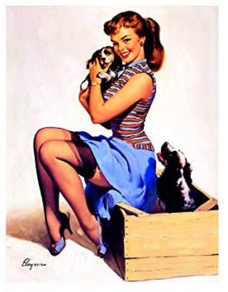 Pin up girl Puppy dogs