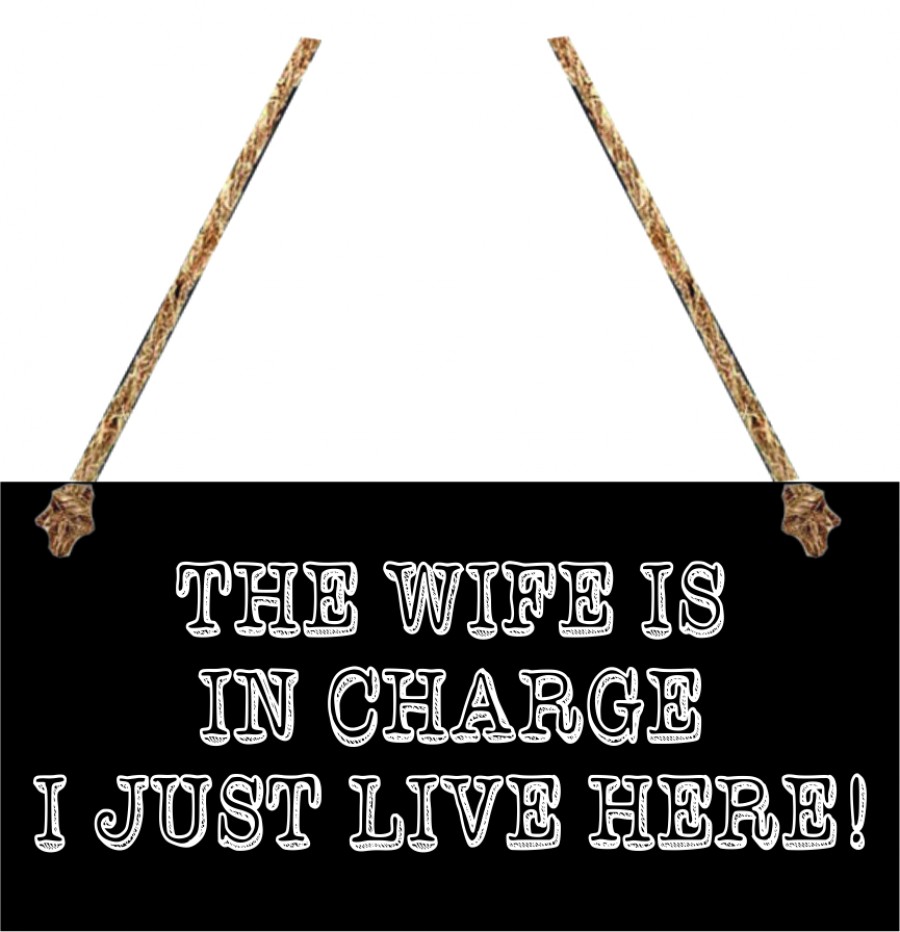 The wife is in charge I just live here! hanging sign