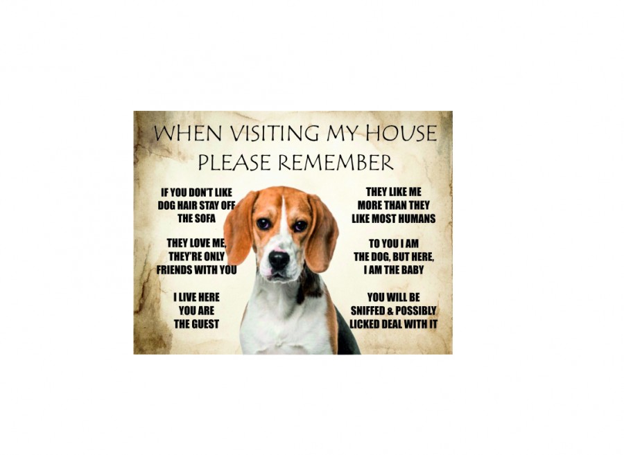 When Visiting My House Please Remember Love Dog Rules Beagle