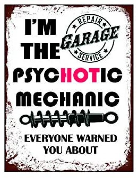 I'm the psychotic mechanic everyone warned you about 