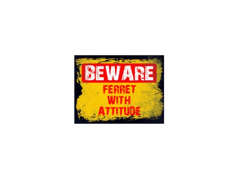 Beware ferret with attitude