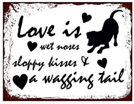 Love is wet noses sloppy kisses & a wagging tail dog 