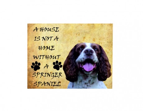 A house is not a home with out a springer spaniel