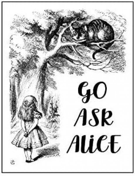 Go ask alice