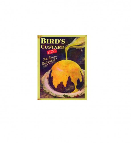 Bird's custard hot and delicious vintage advert