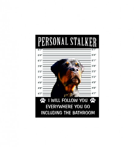 Rottweiler dog personal stalker I will follow you everywhere including the bathroom