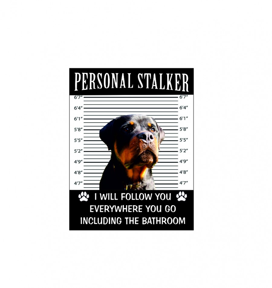Rottweiler dog personal stalker I will follow you everywhere including the bathroom