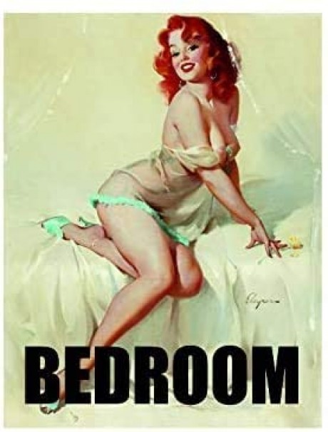 Sexy pin up girl bedroom