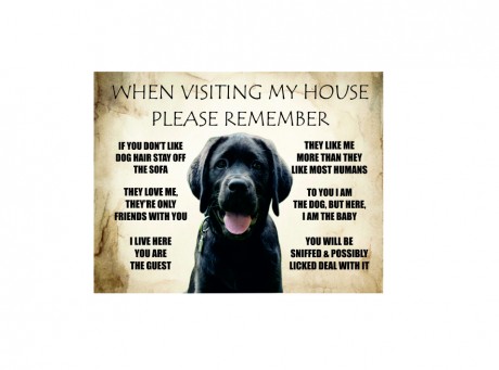 When Visiting My House Please Remember Love Dog Rules