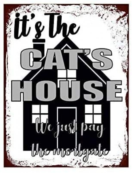 It's a cat's house we just pay the mortgage