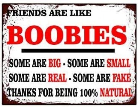 Friends are like boobies some are fake