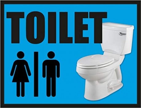 Men's ladies toilet bathroom