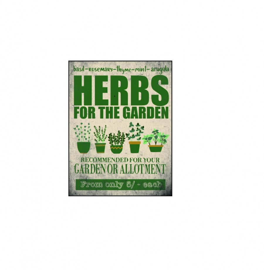 Herbs for the garden recommended for your garden or allotment