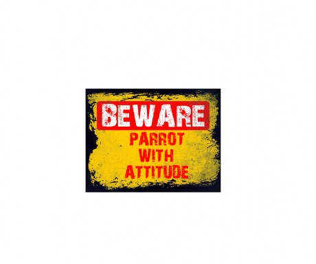 Beware parrot with attitude