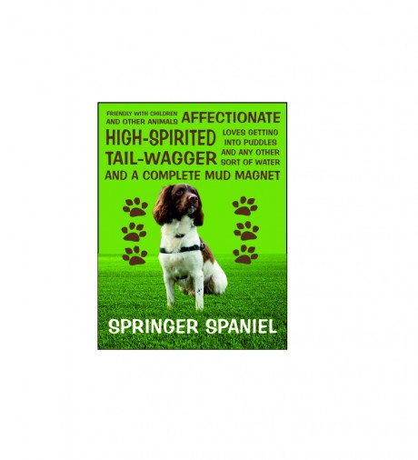Springer Spaniel dog lovers pedigree owners gift
