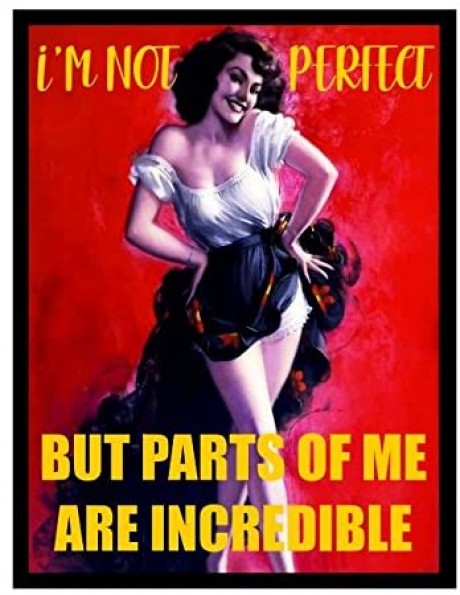 I'm not perfect but parts of me are incredible pin up girl