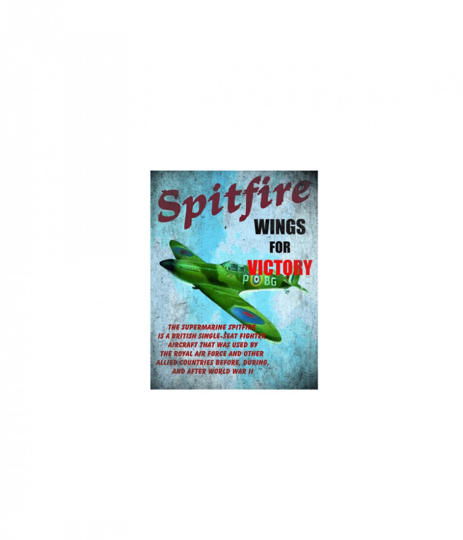 The supermairine spitfire wings for victory