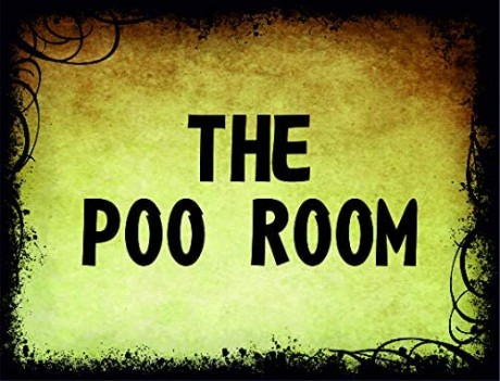Bathroom the poo room
