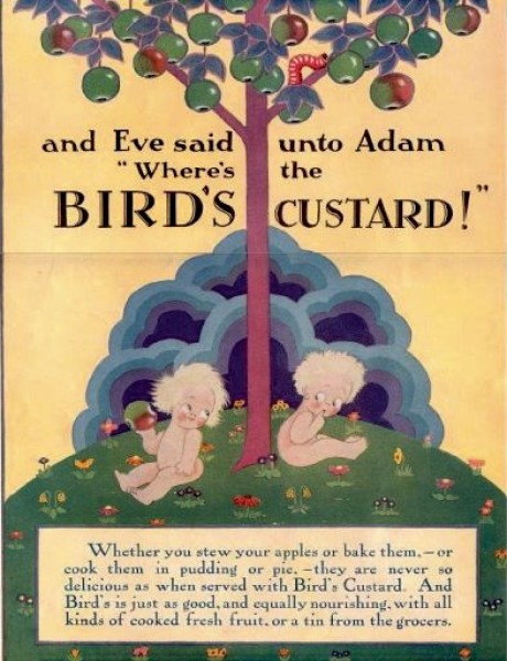 Adam and eve birds custard