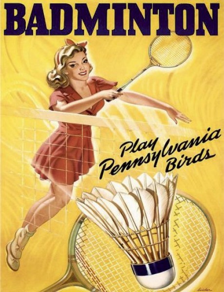 Badminton play pennsywania birds