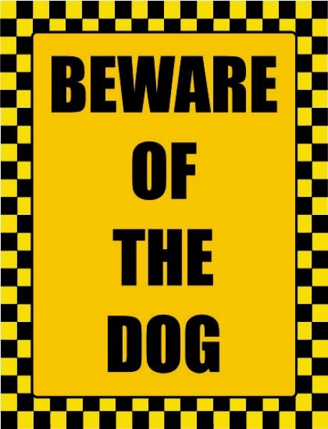 Beware of the dog