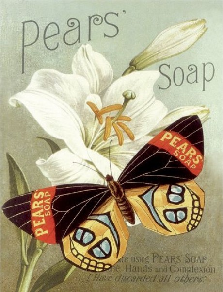 Butterfly pears soap