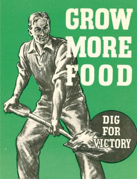 Grow more food dig for victory