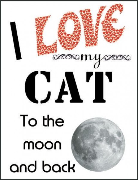 I love my cat to the moon and back