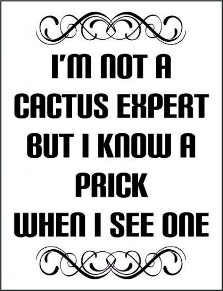 I'm not a cactus expert but I know a prick when I see one 