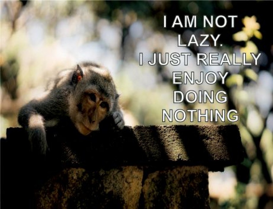 I'm not lazy I just enjoy really doing nothing
