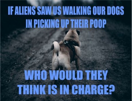 If aliens saw us walking our dogs and picking up their poop