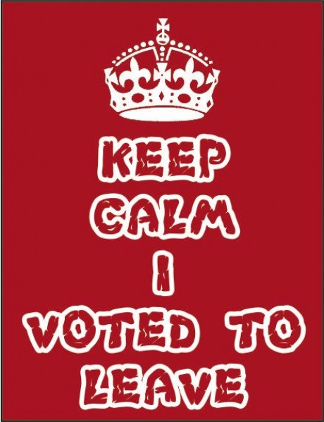 Keep calm I voted to leave brexit