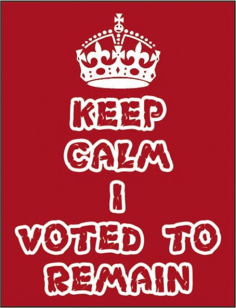 Keep calm I voted to remain brexit