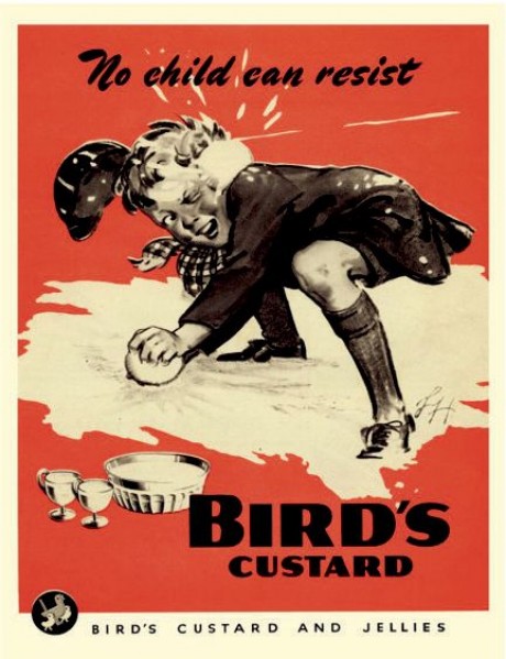 No child can resist birds custard